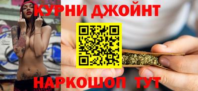 jwh Кингисепп