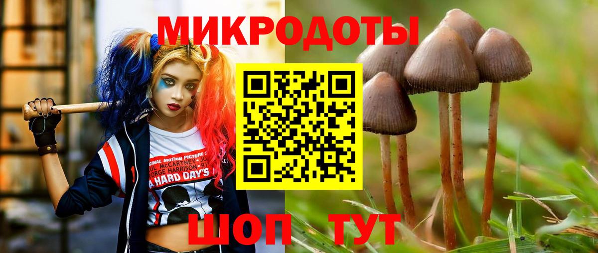 Псилоцибиновые грибы Cubensis Красный Сулин